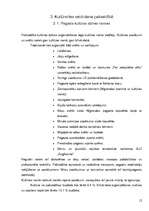 Referāts 'Kultūras dzīve Nīgrandes pagastā', 12.