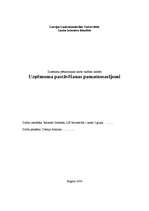 Referāts 'Uzņēmuma pastāvēšanas pamatnosacījumi', 1.