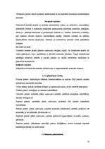 Referāts 'Uzņēmuma pastāvēšanas pamatnosacījumi', 10.