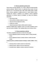 Referāts 'Uzņēmuma pastāvēšanas pamatnosacījumi', 11.