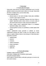 Referāts 'Uzņēmuma pastāvēšanas pamatnosacījumi', 12.