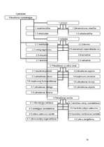 Referāts 'Uzņēmuma pastāvēšanas pamatnosacījumi', 24.