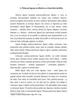 Referāts 'Pirkuma līgums', 3.