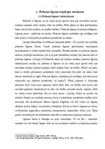 Referāts 'Pirkuma līgums', 7.