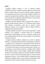 Referāts 'Mārketinga loma uzņēmuma stratēģiskajā plānošanā', 3.