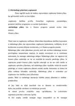 Referāts 'Mārketinga loma uzņēmuma stratēģiskajā plānošanā', 5.