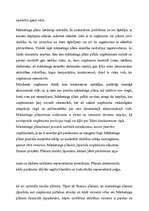 Referāts 'Mārketinga loma uzņēmuma stratēģiskajā plānošanā', 6.