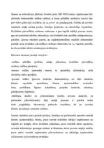 Referāts 'Mārketinga loma uzņēmuma stratēģiskajā plānošanā', 8.