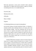 Referāts 'Mārketinga loma uzņēmuma stratēģiskajā plānošanā', 10.