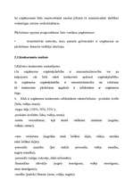 Referāts 'Mārketinga loma uzņēmuma stratēģiskajā plānošanā', 14.