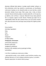 Referāts 'Mārketinga loma uzņēmuma stratēģiskajā plānošanā', 16.