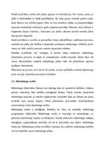 Referāts 'Mārketinga loma uzņēmuma stratēģiskajā plānošanā', 20.