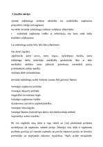 Referāts 'Mārketinga loma uzņēmuma stratēģiskajā plānošanā', 21.