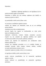 Referāts 'Mārketinga loma uzņēmuma stratēģiskajā plānošanā', 29.