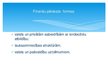 Prezentācija 'Lietuvas grāmatvedības sistēma salīdzinājumā ar Latvijas grāmatvedības sistēmu', 19.