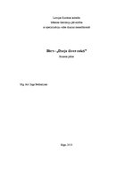 Biznesa plāns 'Biznesa plāns bāram', 1.