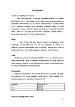 Biznesa plāns 'Biznesa plāns bāram', 3.