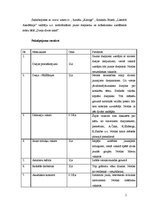 Biznesa plāns 'Biznesa plāns bāram', 5.