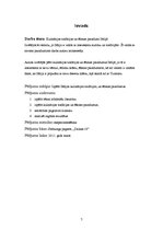 Referāts 'Kulinārijas tradīcijas un ēšanas paradumi Itālijā', 5.