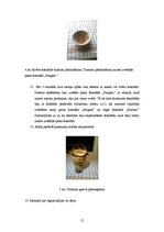 Referāts 'Kulinārijas tradīcijas un ēšanas paradumi Itālijā', 13.