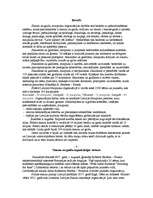 Referāts 'Skautu un gaidu, mazpulku darbības vēsture', 3.