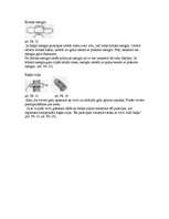 Referāts 'Skautu un gaidu, mazpulku darbības vēsture', 19.