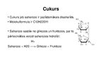 Prezentācija 'Cukurs un tā ražošana', 3.