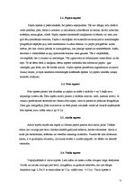 Referāts 'Tapetes', 5.