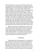 Referāts 'Tapetes', 8.