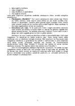 Biznesa plāns 'SIA "Baltais palags"', 5.