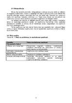 Biznesa plāns 'SIA "Baltais palags"', 9.