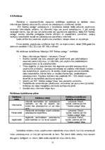 Biznesa plāns 'SIA "Baltais palags"', 10.