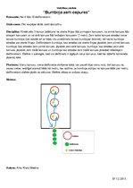 Paraugs 'Veiklības stafetes "Bumbiņa zem cepures" apraksts', 1.