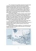 Referāts 'Muita', 5.