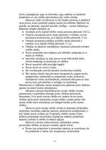 Referāts 'Muita', 25.