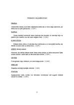 Referāts 'Mikelandželo. Vatikāna Siksta kapelas griestu gleznojumi. Dieva parādīšana cilvē', 16.