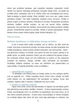 Referāts 'Darbinieku pozitīvās domāšanas un relaksācijas trenings', 4.