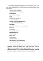 Prakses atskaite 'Atskaite par mācību praksi VID', 6.