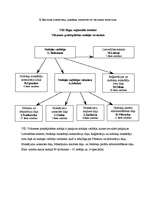 Prakses atskaite 'Atskaite par mācību praksi VID', 11.