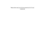 Prakses atskaite 'Atskaite par mācību praksi VID', 22.