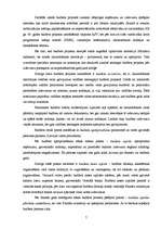 Referāts 'Latvijas Republikas 2005.gada valsts budžeta pārskats', 7.