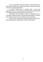 Referāts 'Latvijas Republikas 2005.gada valsts budžeta pārskats', 29.