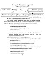 Biznesa plāns 'SIA "Dūmi-AB"', 7.
