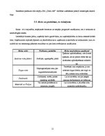 Biznesa plāns 'SIA "Dūmi-AB"', 12.