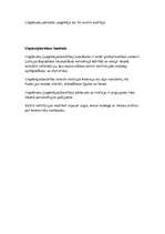 Referāts 'Uzņēmējdarbība', 5.