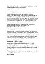 Referāts 'Uzņēmējdarbība', 8.