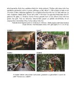 Paraugs 'Koloniālisms eiropiešu apziņā', 7.