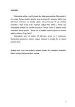 Diplomdarbs 'Jātnieka tēla pielietojums 20.gadsimta reklāmas materiālos', 2.