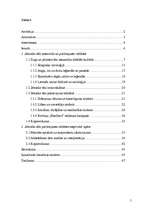 Diplomdarbs 'Jātnieka tēla pielietojums 20.gadsimta reklāmas materiālos', 5.