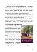 Diplomdarbs 'Jātnieka tēla pielietojums 20.gadsimta reklāmas materiālos', 21.